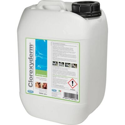 I.C.F. Clorexyderm Shampoo disinfettante per cani e gatti - 5 litri I.C.F. Clorexyderm Shampoo disinfettante per cani e gatti - 5 litri