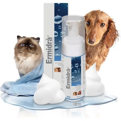 MP LABO Ermidra Mousse 200ml - Mousse Nettoyante Peau Sensible - Publicité MP LABO Ermidra Mousse 200ml - Mousse Nettoyante Peau Sensible - Publicité