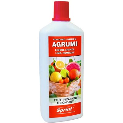 Bricoman Tecnomat Concime Liquido Agrumi Nk 2.4 - Concime Liquido Bricoman Tecnomat Concime Liquido Agrumi Nk 2.4 - Concime Liquido