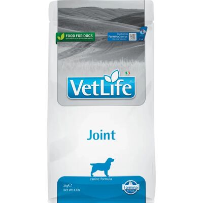 Nourriture pour Chiens Farmina Vet Life Joint 2kg - Nourriture pour chiens - Publicité Nourriture pour Chiens Farmina Vet Life Joint 2kg - Nourriture pour chiens - Publicité