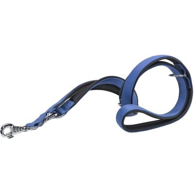 Laisse en nylon réglable Ferplast Daytona Bleu - Entraînement & Promenade Laisse en nylon réglable Ferplast Daytona Bleu - Entraînement & Promenade