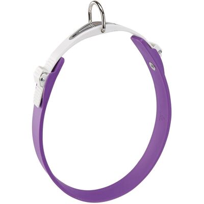 Coleira para Cães FERPLAST Ergoflex - Ajustável, Borracha, Roxo Coleira para Cães FERPLAST Ergoflex - Ajustável, Borracha, Roxo