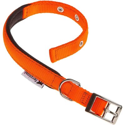 FERPLAST Daytona c Collier en nylon avec rembourrage doux FERPLAST Daytona c Collier en nylon avec rembourrage doux