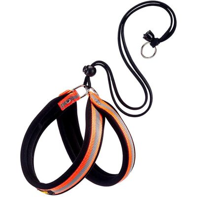 Harnais pour chiens Ferplast Agila Reflex - Haute visibilité, Réglable, Tailles et couleurs variées Harnais pour chiens Ferplast Agila Reflex - Haute visibilité, Réglable, Tailles et couleurs variées