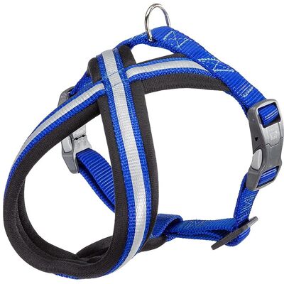 Ferplast Daytona Cross Small Dog Harness - Reflective Nylon, Adjustable, Blue Ferplast Daytona Cross Small Dog Harness - Reflective Nylon, Adjustable, Blue