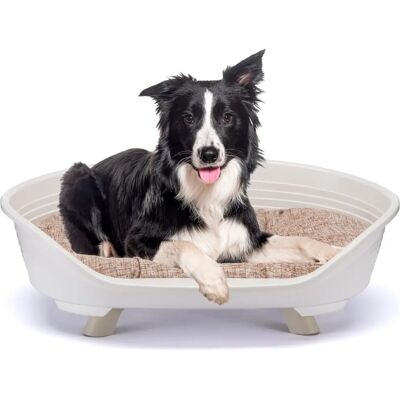Ferplast Throne - Lit pour animaux pour chats et chiens - Publicité Ferplast Throne - Lit pour animaux pour chats et chiens - Publicité