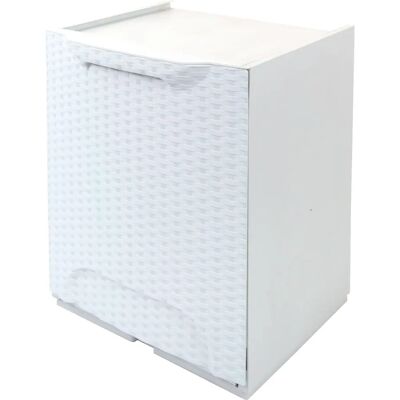 ARTPLAST Contenitore Rattan - 47x34x29 cm - Bianco ARTPLAST Contenitore Rattan - 47x34x29 cm - Bianco