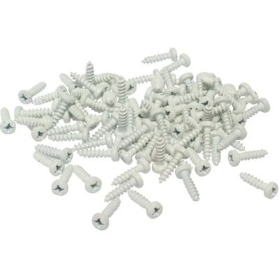 CORA Kit 100 Witte schroeven voor kentekenplaat montage - Auto-onderdelen CORA Kit 100 Witte schroeven voor kentekenplaat montage - Auto-onderdelen