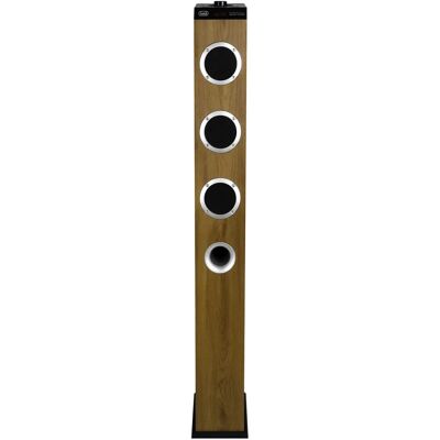 Trevi XT10A8WD Heimkino Tower - Holz, 60 W, Bluetooth, MP3 Trevi XT10A8WD Heimkino Tower - Holz, 60 W, Bluetooth, MP3
