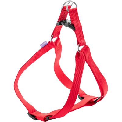 Record Nylon-Halsband 2,5x56-81 cm - Hundehalsband Record Nylon-Halsband 2,5x56-81 cm - Hundehalsband