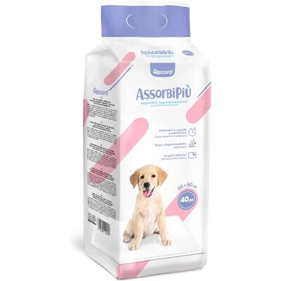 RECORD AssorbiPiù Tapis pour Chiens - Polymères Superabsorbants - 60x60 cm - 40 pcs RECORD AssorbiPiù Tapis pour Chiens - Polymères Superabsorbants - 60x60 cm - 40 pcs