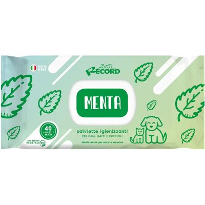 Salviette RECORD Maxi Menta - Salviette per animali Salviette RECORD Maxi Menta - Salviette per animali