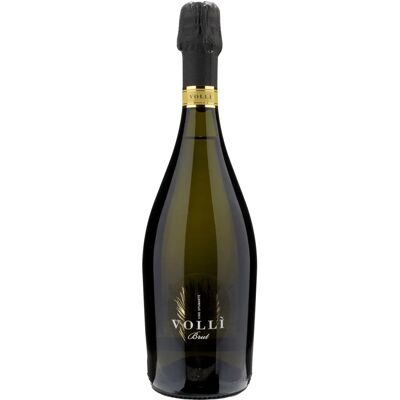 Terre Cevico Vollì Rubicone Spumante Bianco Brut - Vino Spumante Terre Cevico Vollì Rubicone Spumante Bianco Brut - Vino Spumante