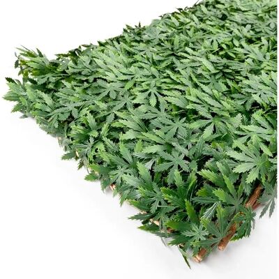 Emmevi - Siepe Artificiale 100x200 - Feuilles 3D - Treillis Saule - Clôture Screen - Publicité Emmevi - Siepe Artificiale 100x200 - Feuilles 3D - Treillis Saule - Clôture Screen - Publicité