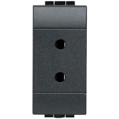 BTicino L4291 Living Light 2-polige 24V 6A Steckdose BTicino L4291 Living Light 2-polige 24V 6A Steckdose