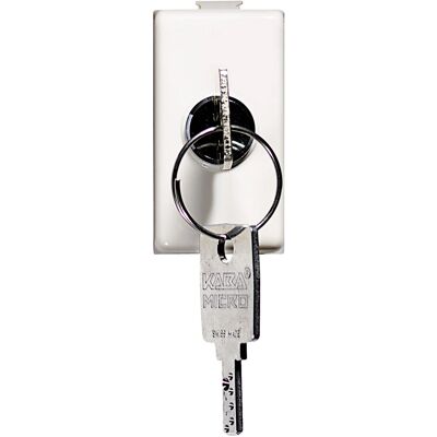 BTicino AM5007 White 2P Light Switch - Interruttore bipolare 10A con chiave BTicino AM5007 White 2P Light Switch - Interruttore bipolare 10A con chiave