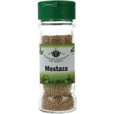 Giardino Botanico dei Berici Mostarda de Grãos Orgânica - Mostarda Giardino Botanico dei Berici Mostarda de Grãos Orgânica - Mostarda