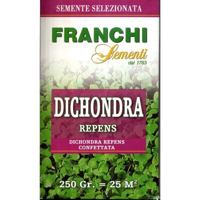 Salone SRL - Semi di Dichondra - Verde - 250g - 25 mq Salone SRL - Semi di Dichondra - Verde - 250g - 25 mq