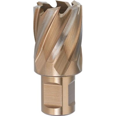 Fervi - F002/12 - Diámetro 12 mm - Eje Weldon - drill bit Fervi - F002/12 - Diámetro 12 mm - Eje Weldon - drill bit