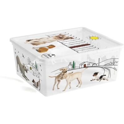 Contenitore Keter C Box 40x34x17cm Pets Collection Contenitore Keter C Box 40x34x17cm Pets Collection