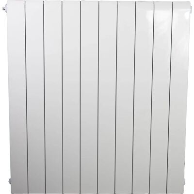 Faral - Alliance - 800 mm interasse - 95 mm profondità - Radiatore Faral - Alliance - 800 mm interasse - 95 mm profondità - Radiatore