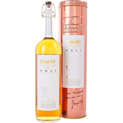 Grappa Jacopo Poli Trebbiano - 3 Anni - Spiritoso Italiano Grappa Jacopo Poli Trebbiano - 3 Anni - Spiritoso Italiano