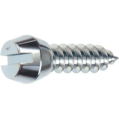 Viti fermavetro Bricoman - Testa speciale con impronta a taglio - 4,2x9,5 mm Viti fermavetro Bricoman - Testa speciale con impronta a taglio - 4,2x9,5 mm