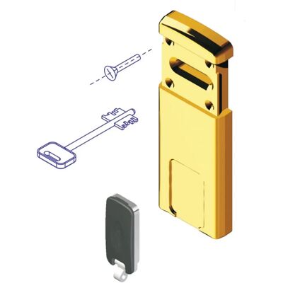 DISEC Defender Magnetico - Chiave doppia mappa - Cromo satinato - Protezione serrature DISEC Defender Magnetico - Chiave doppia mappa - Cromo satinato - Protezione serrature