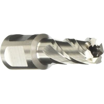 Bricoman Tecnomat Trapanino Weldon Ø 14 mm per Metallo Bricoman Tecnomat Trapanino Weldon Ø 14 mm per Metallo