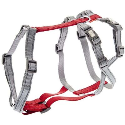 Ferribiella Pettorina per cani - Nylon doppio H, Rosso e Grigio, L Ferribiella Pettorina per cani - Nylon doppio H, Rosso e Grigio, L