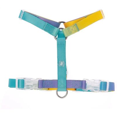 Collare per Cani Ferribiella H Motivo Arcobaleno - Collare per Animali Collare per Cani Ferribiella H Motivo Arcobaleno - Collare per Animali