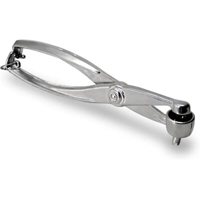 H+H Aluminium Snocciolatore - Küchenwerkzeug - 1kg - Silber H+H Aluminium Snocciolatore - Küchenwerkzeug - 1kg - Silber