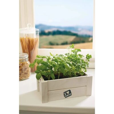 Kit Giardinaggio VerdeMax con Cassettina in Legno, Terriccio, Semi Kit Giardinaggio VerdeMax con Cassettina in Legno, Terriccio, Semi