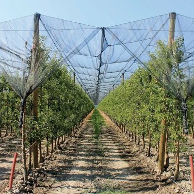 Filet de jardin VerdeMax - 2x20m Trame double 33g/m² - Publicité Filet de jardin VerdeMax - 2x20m Trame double 33g/m² - Publicité