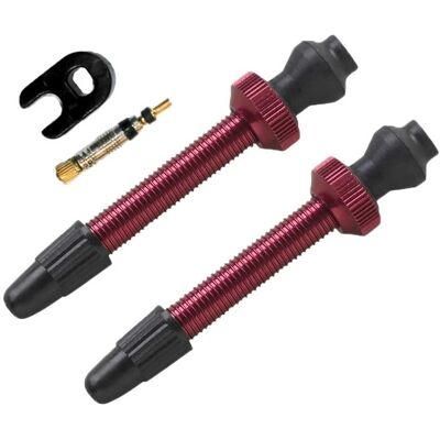 Barbieri 45mm Aluminium Tubeless Presta Fietsventielen - Set van 2 Barbieri 45mm Aluminium Tubeless Presta Fietsventielen - Set van 2