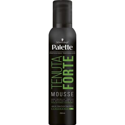 Palette Mousse Tenuta Forte 250ml - Mousse Capillaire - Publicité Palette Mousse Tenuta Forte 250ml - Mousse Capillaire - Publicité