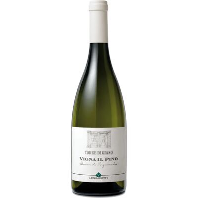 Lungarotti - Torre di Giano Vigna Il Pino - White Wine Lungarotti - Torre di Giano Vigna Il Pino - White Wine