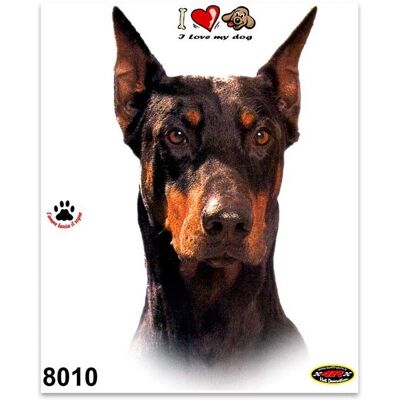 Dobermann kutyás matrica - 14 x 16 cm Dobermann kutyás matrica - 14 x 16 cm