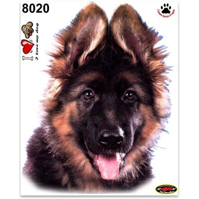 4R Quattroerre.It - Dekal För Schäferhundvalp - Schäferhundvalp - 14x16 cm - Decalcomania auto 4R Quattroerre.It - Dekal För Schäferhundvalp - Schäferhundvalp - 14x16 cm - Decalcomania auto