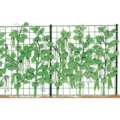 Rete di supporto per piante rampicanti Stocker 2x50 M Rete di supporto per piante rampicanti Stocker 2x50 M
