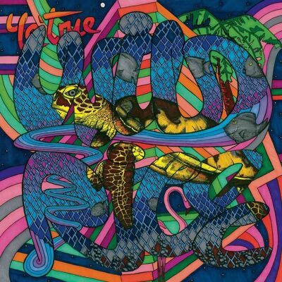 Yo'true Wild Rice - Album Musicale Yo'true Wild Rice - Album Musicale