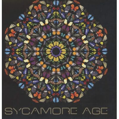 Santeria Sycamore Age - Importera CD - 2013 - Audio Santeria Sycamore Age - Importera CD - 2013 - Audio