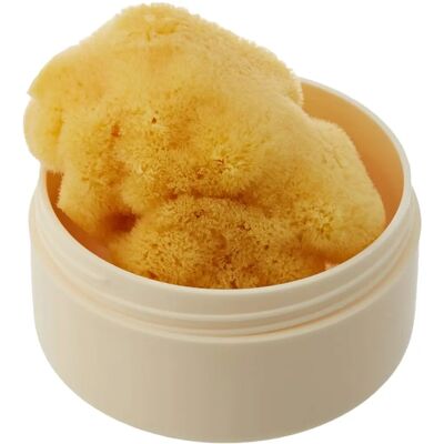 Bellini S7 Mini Esponja Natural del Mediterráneo - Esponja exfoliante Bellini S7 Mini Esponja Natural del Mediterráneo - Esponja exfoliante
