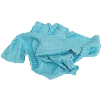 PIPPO Tissu microfibre pour vitres - 50x40cm PIPPO Tissu microfibre pour vitres - 50x40cm