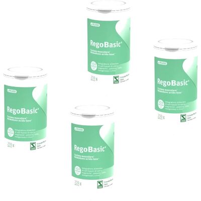 Pegaso Rego Basic Polvere - Integratore Minerale per Funzione Muscolare Pegaso Rego Basic Polvere - Integratore Minerale per Funzione Muscolare