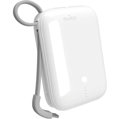 Puro Power Link 10 Plus Batteria al Litio-Ionico - Power Bank Puro Power Link 10 Plus Batteria al Litio-Ionico - Power Bank