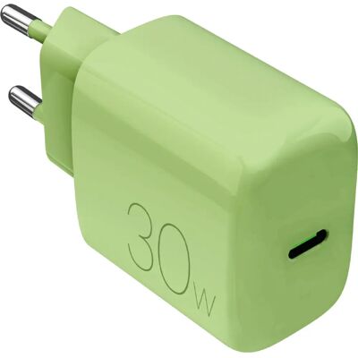 Caricatore da Parete Puro Verde 30W USB-C - Ricarica Veloce Caricatore da Parete Puro Verde 30W USB-C - Ricarica Veloce