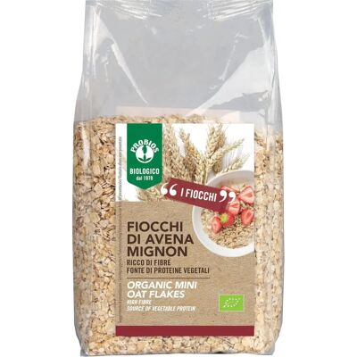 Fiocchi di Avena Mignon Probios - Fonte per colazione Fiocchi di Avena Mignon Probios - Fonte per colazione