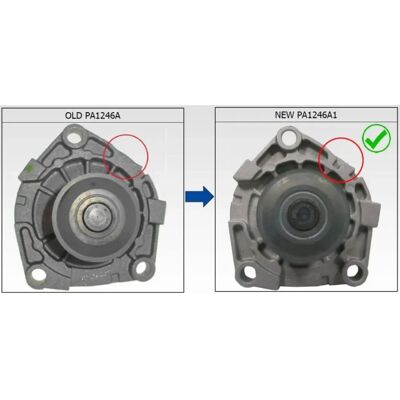 Saleri PA1246A1 Stahl Wasserpumpe für Opel & Fiat Saleri PA1246A1 Stahl Wasserpumpe für Opel & Fiat