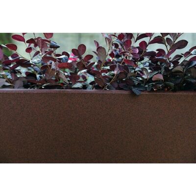 ELBI - Caspo' - 30 cm - Resin - Planter ELBI - Caspo' - 30 cm - Resin - Planter